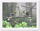 Dierentuin Burgers  Zoo 032 * 3648 x 2736 * (5.86MB)